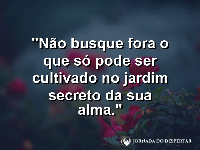 Uma lanterna iluminando um jardim interno cheio de vida.