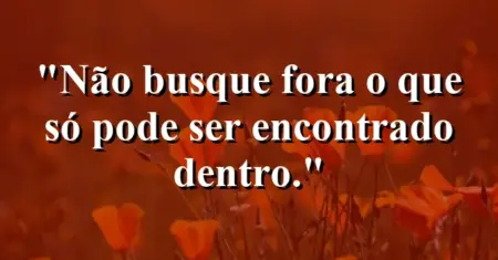 Não busque fora o que só pode ser encontrado dentro.