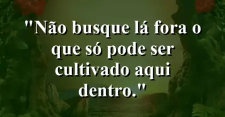 Não busque lá fora o que só pode ser cultivado aqui dentro.