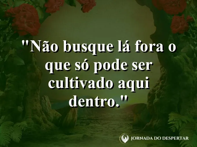 Uma lanterna iluminando um jardim interno cheio de vida.