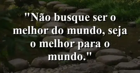 Não busque ser o melhor do mundo, seja o melhor para o mundo.