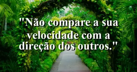 Não compare a sua velocidade com a direção dos outros.