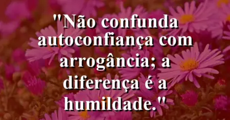 “Não confunda autoconfiança com arrogância; a diferença é a humildade.”