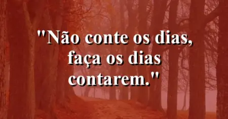 Não conte os dias, faça os dias contarem.