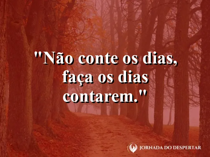 Um relógio de sol em um jardim florido durante a tarde.