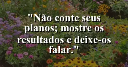 Não conte seus planos; mostre os resultados e deixe-os falar.