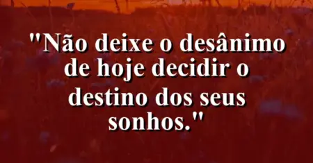 “Não deixe o desânimo de hoje decidir o destino dos seus sonhos.”