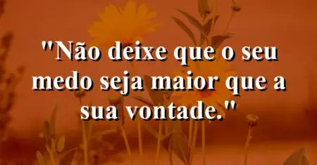 Não deixe que o seu medo seja maior que a sua vontade.