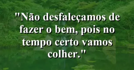“Não desfaleçamos de fazer o bem, pois no tempo certo vamos colher.”