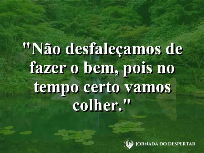 Mão entregando um pão a outra mão com frase sobre não desistir de fazer o bem.