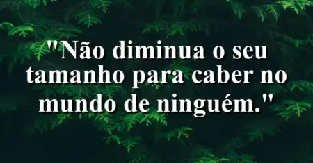 Não diminua o seu tamanho para caber no mundo de ninguém.