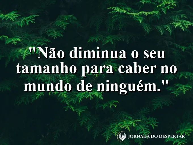 Uma árvore frondosa crescendo livremente em um campo aberto.