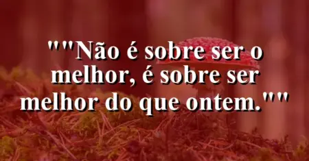 “Não é sobre ser o melhor, é sobre ser melhor do que ontem.”