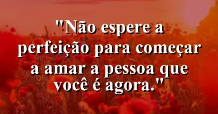 Não espere a perfeição para começar a amar a pessoa que você é agora.