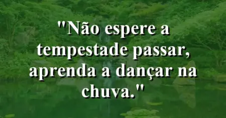 Não espere a tempestade passar, aprenda a dançar na chuva.