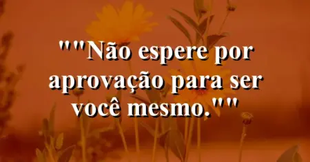 “Não espere por aprovação para ser você mesmo.”