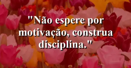 Não espere por motivação, construa disciplina.