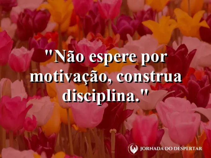Pedras empilhadas em equilíbrio perfeito na beira de um rio.