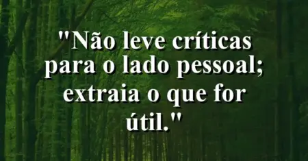 “Não leve críticas para o lado pessoal; extraia o que for útil.”