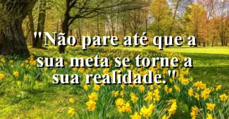 Não pare até que a sua meta se torne a sua realidade.