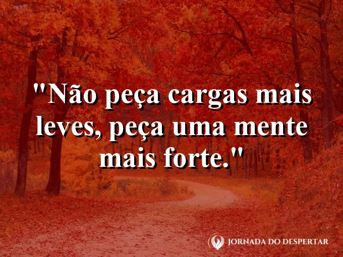 Silhueta de pessoa carregando uma mochila em trilha de montanha.