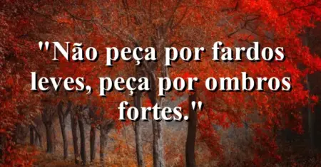 Não peça por fardos leves, peça por ombros fortes.