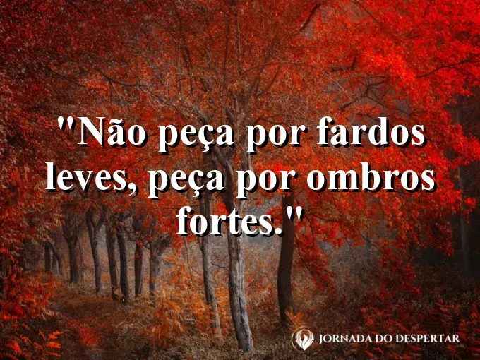 Silhueta de alguém carregando uma mochila em uma subida íngreme.