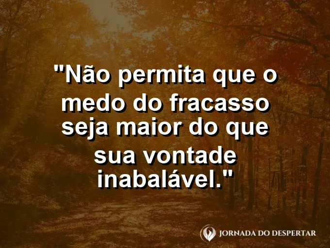 Escudo brilhante refletindo uma sombra escura com frase sobre vontade e medo.