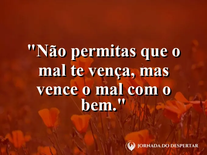 Uma pequena flor nascendo em meio a destroços com frase sobre vencer o mal com o bem.