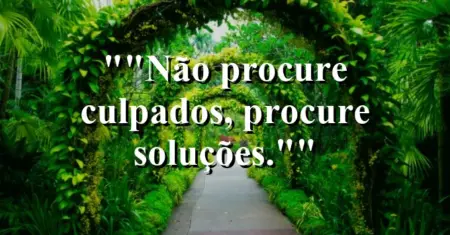 “Não procure culpados, procure soluções.”