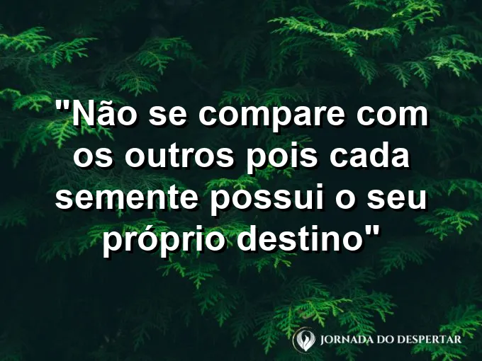 ATRIBUTO ALT DA IMAGEM COM A FRASE: Diferentes tipos de plantas crescendo juntas em um jardim, cada uma com sua cor e altura única.