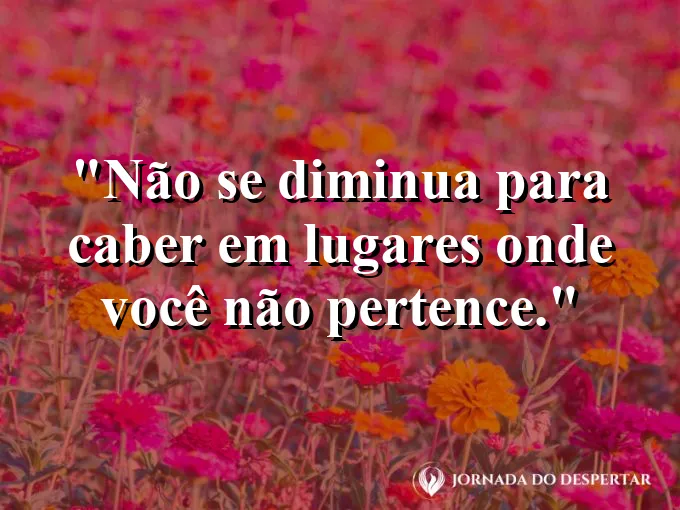 Peça de quebra-cabeça que não se encaixa em um padrão rígido.