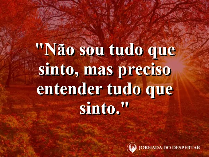 Imagem com frase sobre sentir, compreender emoções e manter consciência.