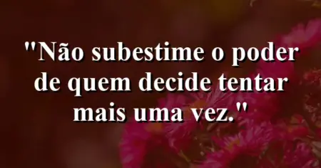 “Não subestime o poder de quem decide tentar mais uma vez.”