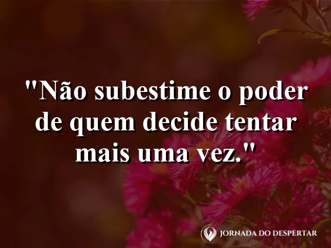 Imagem com frase sobre o poder de insistir novamente.