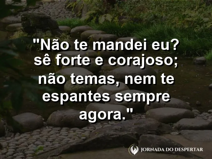 Leão rugindo suavemente ao pôr do sol com frase de força e coragem bíblica.