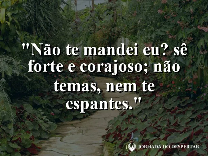 Leão rugindo suavemente ao pôr do sol com frase de força e coragem bíblica sempre.
