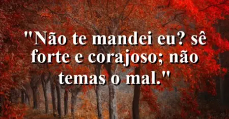 “Não te mandei eu? Sê forte e corajoso; não temas o mal.”
