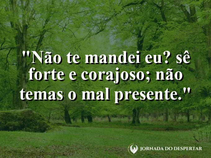 Leão rugindo suavemente ao pôr do sol com frase de força e coragem bíblica sempre.
