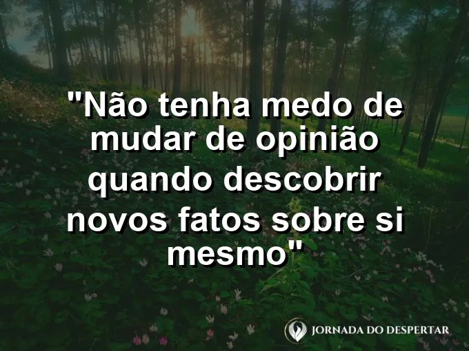 ATRIBUTO ALT DA IMAGEM COM A FRASE: Uma borboleta saindo do casulo com cores vibrantes simbolizando a transformação e a nova mentalidade.