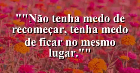 “Não tenha medo de recomeçar, tenha medo de ficar no mesmo lugar.”