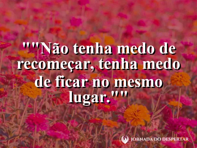 Estrada que se divide em duas direções sob o céu azul.