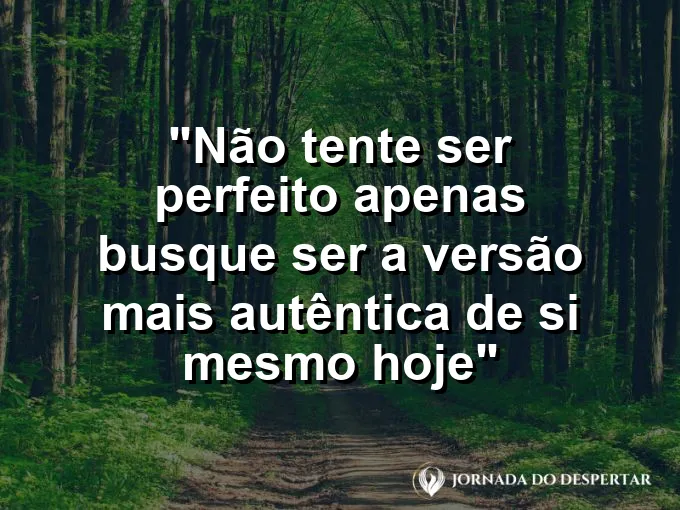 ATRIBUTO ALT DA IMAGEM COM A FRASE: Uma flor silvestre crescendo sozinha entre pedras de calçada, destacando-se por sua beleza natural e única.