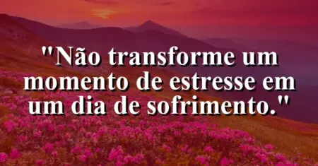 “Não transforme um momento de estresse em um dia de sofrimento.”