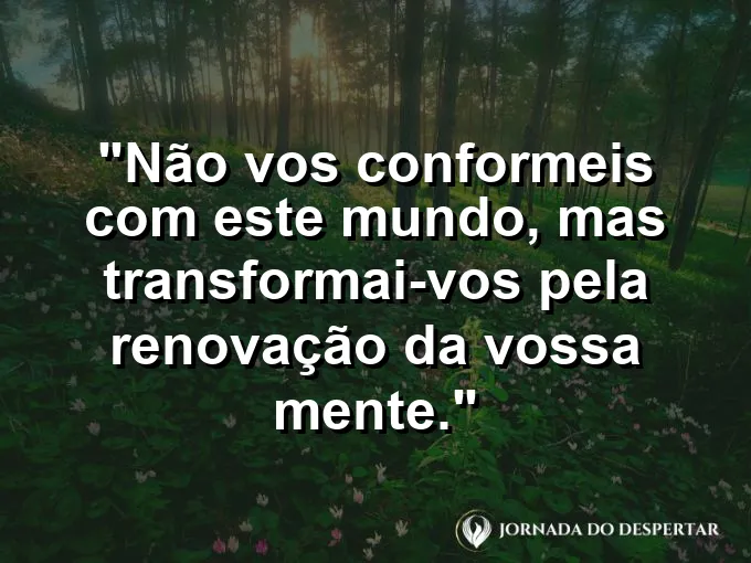 Borboleta saindo do casulo com frase sobre transformação e renovação da mente no Senhor.