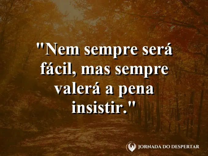 Imagem com frase sobre insistência que vale a pena.