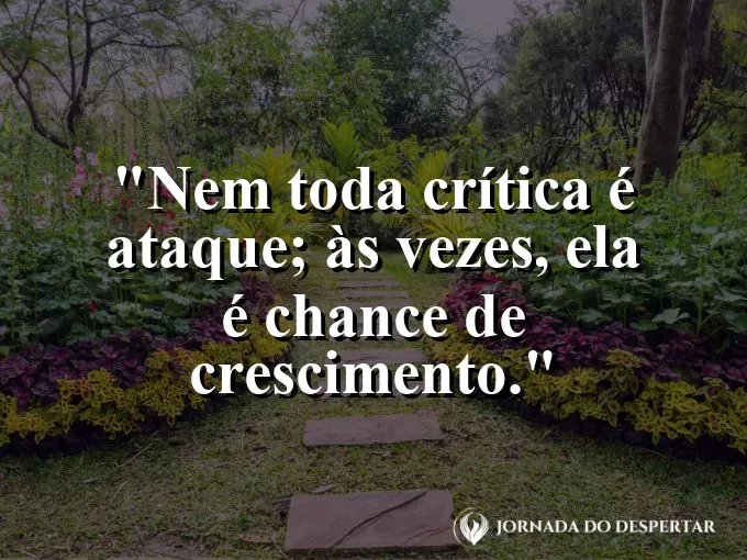 Imagem com frase sobre maturidade para lidar com críticas.