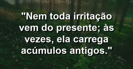 “Nem toda irritação vem do presente; às vezes, ela carrega acúmulos antigos.”