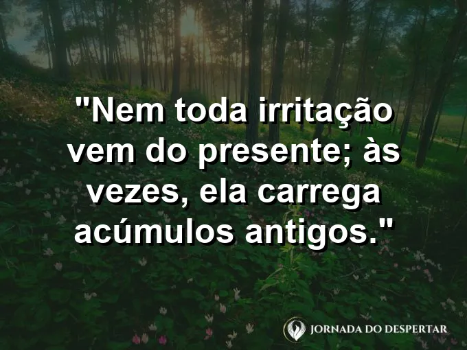 Imagem com frase sobre entender emoções acumuladas na rotina profissional.