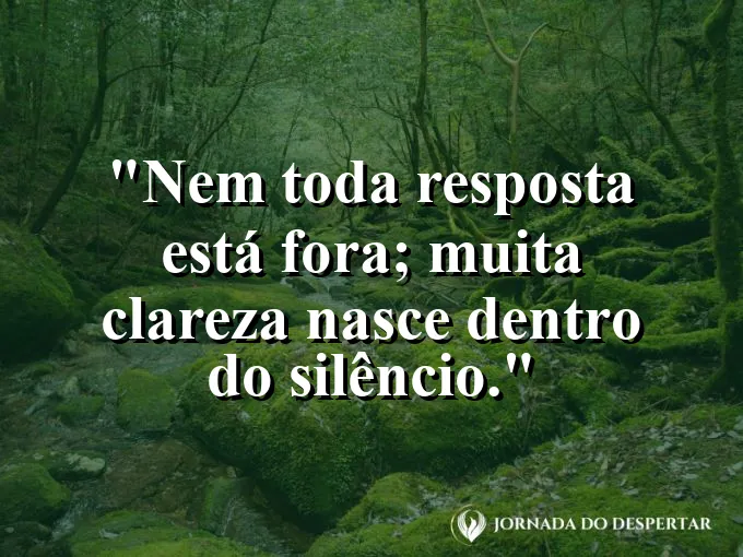 Imagem com frase de autoconhecimento sobre encontrar respostas no silêncio.
